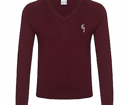 Birchwood High School Unisex Jumper, Maroon