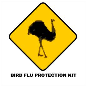 bird Flu - 10 Mask Kit