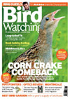 Bird Watching Annual Direct Debit   1 Year Free