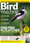 Bird Watching Six Monthly Direct Debit   Boot