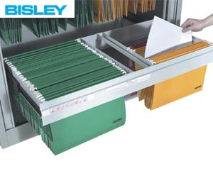 Bisley roll out filing frame