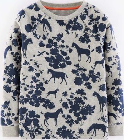 Boden, 1669[^]35138668 Raglan Printed Sweatshirt Grey Marl Folk Print