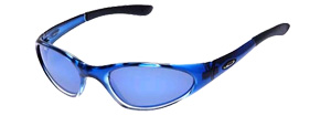 Swisher (Polarised) sunglasses