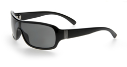 WHIP BLACK FRAME - POLARIZED SMOKE LENS