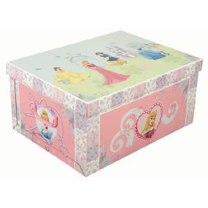 Born To Play Disney Princess Medium Card Storage