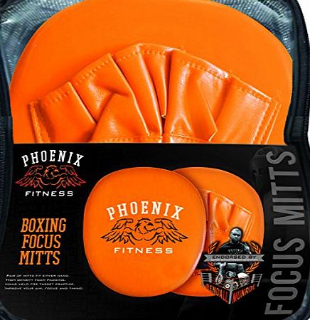 Boyz Toys Phoenix Fitness - Boxing Focus Mitts - BTRY940 - Boyz Toys