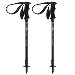 Compact Trekking Pole