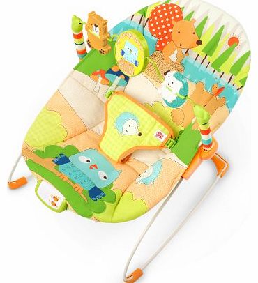 Bright Starts Little Explorer Bouncer