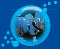 brighton SEA LIFE Centre - Special Offer Child