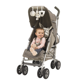 Storm Stroller in Ziggy Zebra