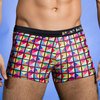 Gaudy Swim Short