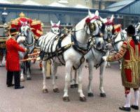 Buckingham Palace - Royal Mews Admission Child