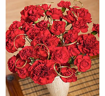 Bunches.co.uk Festive Bouquet Large XFBL