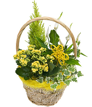 Bunches.co.uk Spring Basket PSBASK