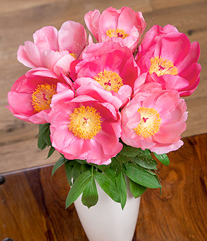 Bunches.co.uk Summer Peonies FPEON