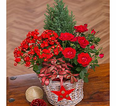 Bunches.co.uk Winter Flower Basket XBASK