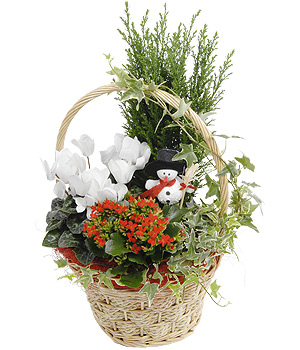 Bunches.co.uk Winter Garden Basket XBASK