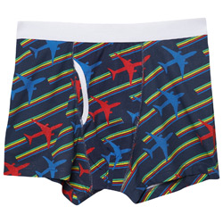 1 Pair Planes Print Trunk