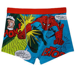 Burton 1 Pair Spiderman Print Trunk