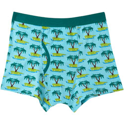 One Pack Desert Island Trunks