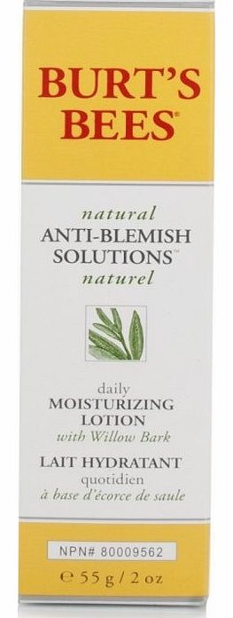 Burt's Bees Anti Blemish Moisturising Lotion