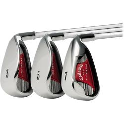 Big Bertha 2008 Irons 4-SW Steel