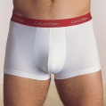 CALVIN KLEIN jersey trunks