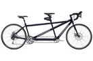 Road Tandem 2008 Tandem Bike