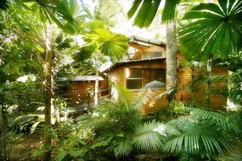 Ferntree Rainforest Lodge