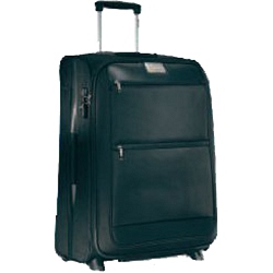 Carlton 52cm trolley case