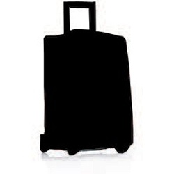 Carlton 73cm Trolley Case