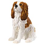 Cavalier King Charles Spaniel Sitting - Blenheim