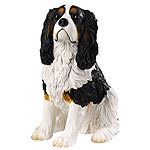 Cavalier King Charles Spaniel Sitting - Tricolour