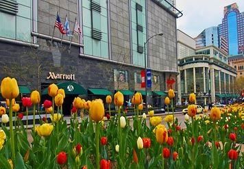 Chicago Marriott Downtown Magnificent Mile