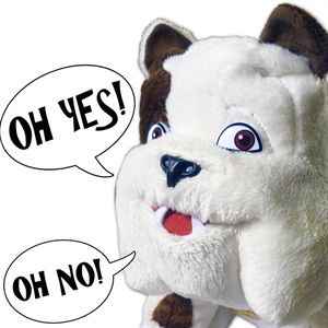 Dog Talking Toy