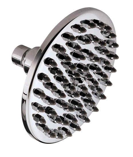 Cipini Tampico Brass Shower head 6 inch