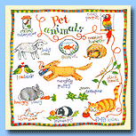 Clare Maddicott Pet Animals