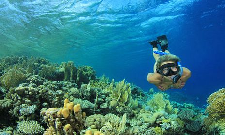 Classic Boat Trip - Sharm El Sheikh