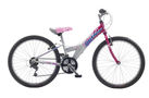 Claud Butler Nemesis 24 2008 Kids Bike