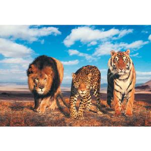 Clementoni Wild Life 1000 Piece Jigsaw Puzzle