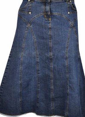 Clove New Clove Arch Panel Blue Denim Long Maxi A Line Plus Size 12 14 16 18 20 22 24