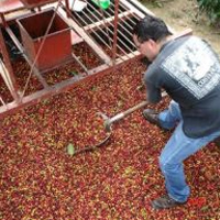 Coffee Tour - From San Jose Gray Line - Costa Rica Coffee Tour - From San Jose