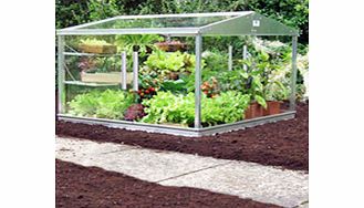 Cold Frame