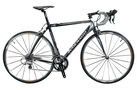 Arte 2008 Road Bike