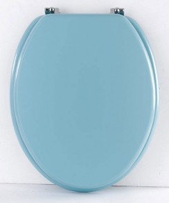 Colour Co-ordinating Toilet Seat