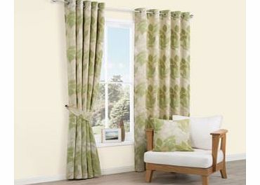 Araxa Eyelet Curtains (W)1.17m (L)1.37m