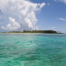 Columbus Ship Cruise To Contoy Island Nature