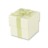 Sage ribbon favour box pk of 10