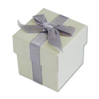 Confetti silver ribbon favour boxes