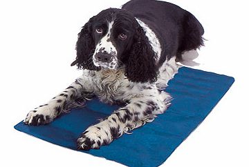 Dog Bed Pad